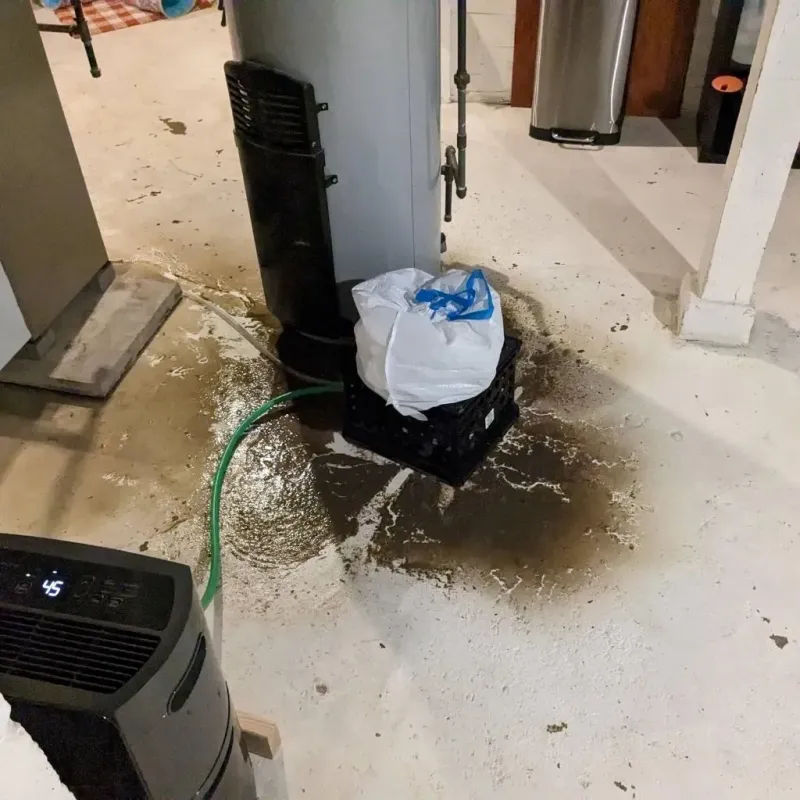 Sewage Backup Cleanup Service in Dadeville, AL